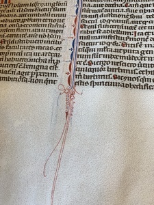 Decorative flourish